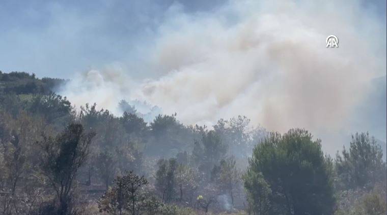 Sakarya'da orman yangını 16